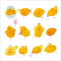 Set of twelve cute yellow watercolor chickens