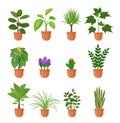 Set of twelve houseplant with flowers in a pot in flat style. Indoor gerb on shelf isolated on a white background