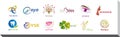 Set of Twelve Icons and Logo Designs - Multiple Colors and Elements