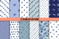 Set of twelve seamless patterns with blue flowers Royalty Free Stock Photo