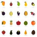 Set of twenty color flat fruits icons