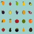 Set of twenty color flat fruits icons