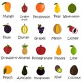 Set of twenty color flat fruits icons