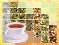 Microscope Snapshots: Assorted blend of tea leaves, herbs and fruits