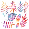 Set of autumn leaves. Watercolor drawing Royalty Free Stock Photo