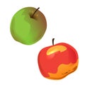 Set of two apples, green and red. Vector illustration. Isolated object on white background. Elements for design on fall theme. Royalty Free Stock Photo