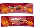 Autumn banner set Royalty Free Stock Photo