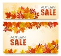 Set Of Two Autumn Sale Banners With Colorful Leaves And Berries. Royalty Free Stock Photo