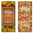 Set of two autumn sale banners Royalty Free Stock Photo