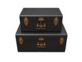 Set of two black leather suitcases with exquisite clasps. Classic premium design with centuries-old traditions. Modern