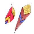 Set of two bright feathers in red, brown, yellow, blue colours. Royalty Free Stock Photo