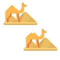 A set of two camels on the background of pyramids of giza.