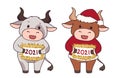 Set of two cartoon cow wearing Christmas costume