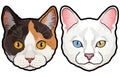 Set of two colored house cat heads vector illustration isolated