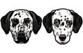 Set of two dalmatian spotted dog heads isolated Royalty Free Stock Photo