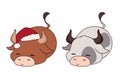 Set of two funny little cow wearing Christmas hat and scarf Royalty Free Stock Photo