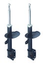 Set of two gas shock absorbers for auto Royalty Free Stock Photo