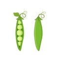 Set of two green peas isolated on white background Royalty Free Stock Photo
