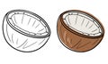 A set of two halves of coconut, vector illustration, monochrome image and color Royalty Free Stock Photo