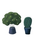 Set of two hand-drawn stylized houseplants in pots. Pricly cactus with lots of spikes and bushy tree in flowerpots. Flat