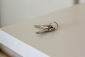 A set of two house keys on a ring on the table in the room. Keys to the apartment. Forget the keys at home, close-up. Royalty Free Stock Photo