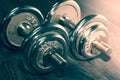 Set of two iron weights on the gym floor