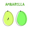 Set of two isolated ambarellas. Vector drawing of rare topucal exotic fruit - ambarella. Spondias dulcis, mombin, pomme cythere. Royalty Free Stock Photo