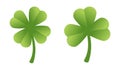 Set of two isolated clovers