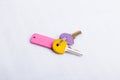 A set of two keys, on a key ring, on a white surface Royalty Free Stock Photo