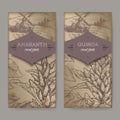 Set of two labels with Amaranthus cruentus aka amaranth and Chenopodium quinoa sketch. Cereal plants collection.
