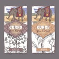 Set of two labels with asafoetida, cardamom and Indian elephant hand drawn color sketch.