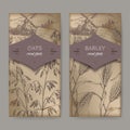 Set of two labels with Barley aka Hordeum vulgare and oats aka Avena sativa sketch. Cereal plants collection.