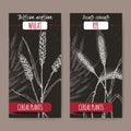 Set of two labels with bread wheat aka Triticum aestivum and rye aka Secale cereale sketch on black.