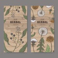 Set of two labels with camphorwood or camphor laurel and Dandelion color sketch. Green apothecary series.