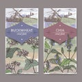 Two labels with Fagopyrum esculentum aka buckwheat and Salvia hispanica aka chia color sketch. Cereal plants collection.