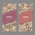 Set of two labels with fresh cherries and strawberries. Royalty Free Stock Photo