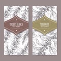 Set of two labels with Rooibos aka Aspalathus linearis and Yerba mate aka Ilex paraguariensis branches.