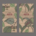 Set of two labels with sweet chestnut and common hazel branch and nuts color sketch. Culinary nuts series.