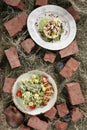 Two Meat Salads on Village Background with Straw and Broken Brick Top View Royalty Free Stock Photo