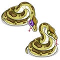 Set of two mesh pythons, one evil, another sick Royalty Free Stock Photo