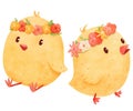 Set of two newborn fluffy chicks. The cute birds wear festive floral crowns on their heads in this children\\\'s watercolor
