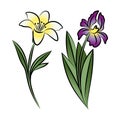 Set of two outlined flowers. Lily and iris