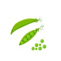 Set of two pods green peas, isolated on white background. Vector flat illustration Royalty Free Stock Photo