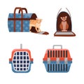 Set of two positions manual plastic carrying transporter and fabric bag for cats on white background. Cat carrier front view, side Royalty Free Stock Photo