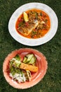 Set of Two Seafood Dishes with Syrdak, Salmon Steak and Rice Royalty Free Stock Photo