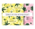 Set of two seamless patterns with house plants Spathiphyllum and Aloe Vera. Cartoon flat art on yellow and pink background with li Royalty Free Stock Photo