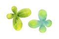 A set of two simple, green abstract butterflies, painted in watercolor.