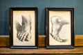 Set of two vintage drawings of human feet in different orientations