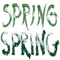 Set of two words `SPRING` isolated on a white background.