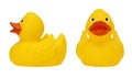 Set with yellow rubber duck on a white background isolated Royalty Free Stock Photo